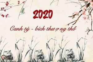 Canh tý 2020 hợp màu gì