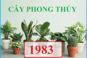 Cây hợp mệnh thủy 1983