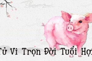 Con số may mắn thiên tuệ