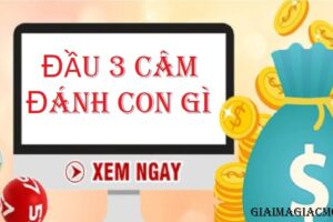 đầu 8 câm hôm sau đánh con gì