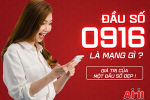 đầu số 0916 là của mạng nào