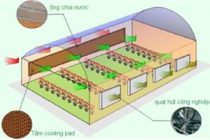 Hệ thống làm mát nhà xưởng bằng nước