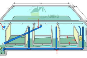 Hệ thống lọc bể cá koi