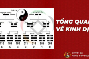 Học kinh dịch bắt đầu từ đầu