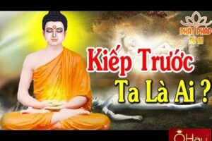 Kiếp trước của ta là ai