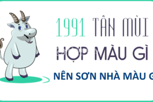 Màu hợp mệnh thổ 1991