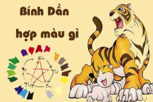 Màu hợp tuổi bính dần