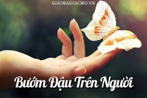 Mơ thấy con gái mình đánh con gì