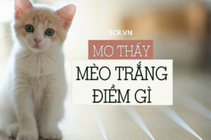 Mơ thấy mèo mẹ và mèo con