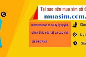 Mua bán sim số đẹp tại hà nội