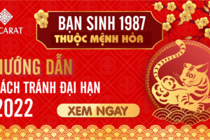 Năm 1987 hợp màu gì