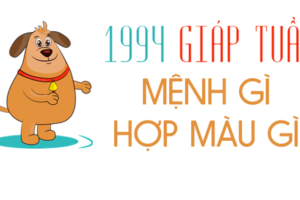 Nam 1994 hợp màu gì