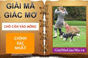 Nằm mơ thấy mình đánh chết chó