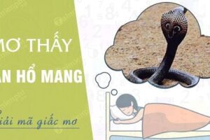 Nằm mơ thấy rắn hổ mang chúa