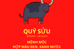 Nam sinh năm 1973 mệnh gì