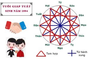 Nam tuổi tuất 1994 hợp với tuổi nào