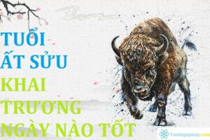 Ngày tốt khai trương cho tuổi ất sửu