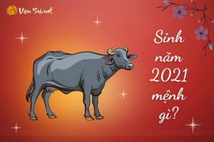 Người sinh năm 2021 mệnh gì