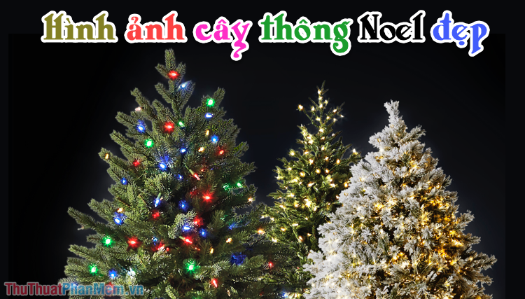 Cây Thông Noel Mẫu Hình Nền  Ảnh miễn phí trên Pixabay