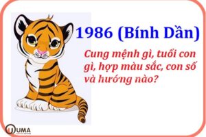 Nữ 1986 hợp màu gì