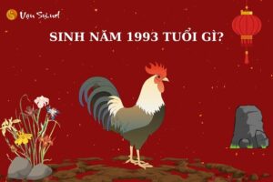 Nữ sinh năm 1993 mệnh gì