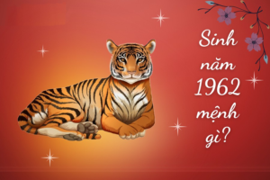 Sinh năm 1962 là tuổi gì