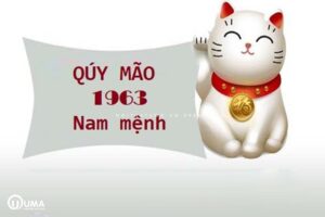 Sinh năm 1963 mệnh gì hợp màu gì