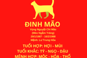 Sinh năm 1987 tuổi con gì