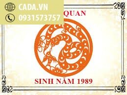 Sinh năm 1989 hợp màu gì