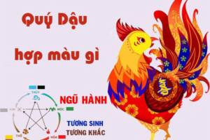 Sinh năm 1993 hợp màu gì