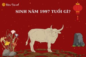 Sinh năm 1997 mệnh gì