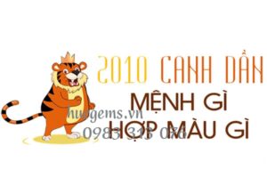 Sinh năm 2010 đeo đá màu gì