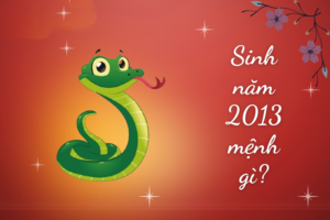 Sinh năm 2013 tuổi gì