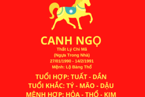 Sinh năm 90 mệnh gì