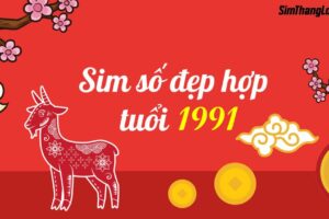 Số điện thoại hợp tuổi 1991