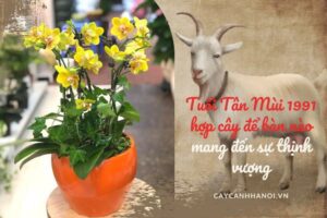 Tân mùi hợp cây gì