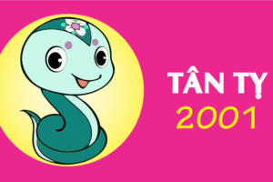 Tân tỵ 2001 mệnh gì