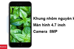 Thay wifi iphone 6 giá bao nhiêu