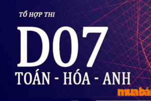 Toán hóa anh khối nào