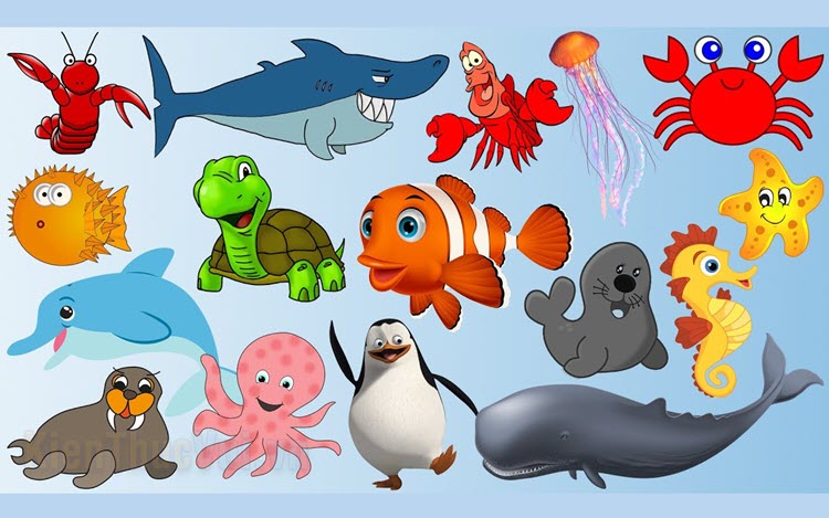 Rất Hay: Tranh tô màu động vật sống dưới nước