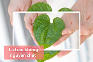 Trị tàn nhang bằng lá trầu không