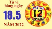 Tu vi 17 5 cua 12 con giap