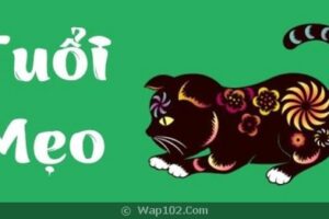 Tử vi ất mão nữ mạng năm 2020