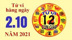 Tu vi ngay 1 10 cua 12 con giap