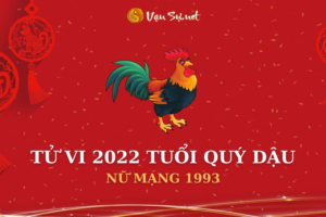 Tử vi nữ 1993 năm 2022