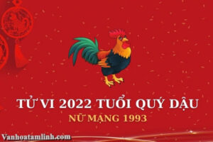 Tử vi quý dậu 2022 nữ mạng