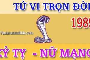 Tu vi tron doi 1989 nu mang