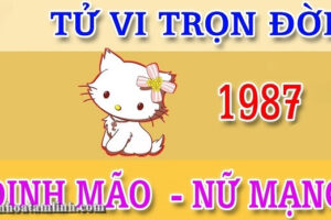 Tử vi trọn đời tuổi đinh mão 1987 nữ mạng