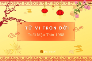 Tử vi tuổi mậu thìn nữ mạng 1988