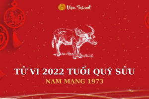 Tử vi tuổi quý sửu năm 2022